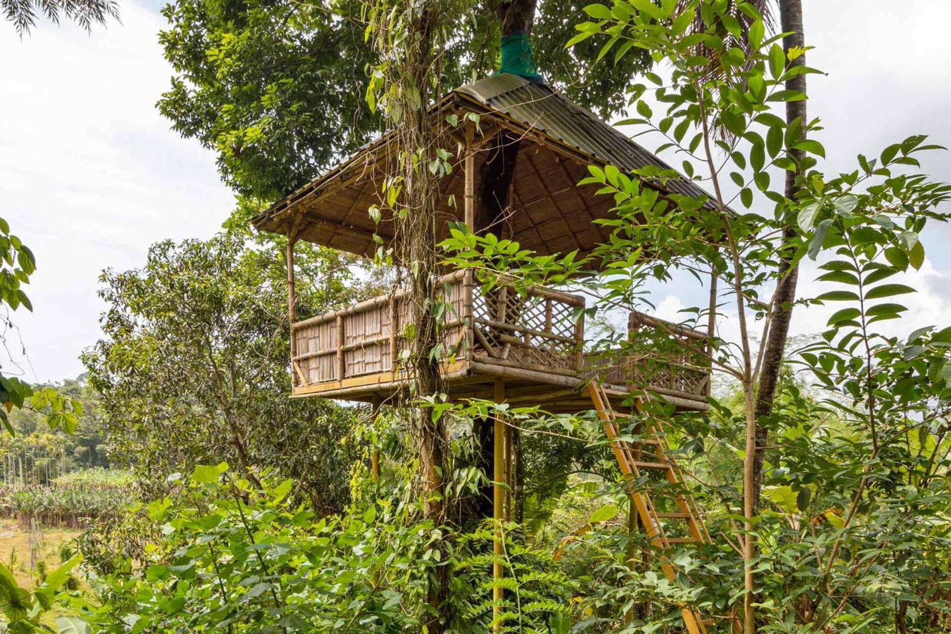Serene Valley Resort Wayanad Mananthavadi Kültér fotó